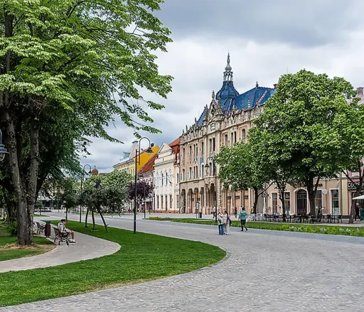 Airport transfer to/from Satu Mare